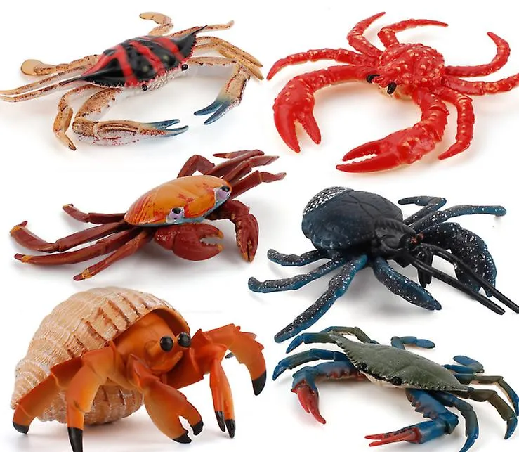 2Pcs Hermit crab 11.5 * 6cm Hermit crab toy educational simulation animal marine life model realistic gift props children learning AZ11541