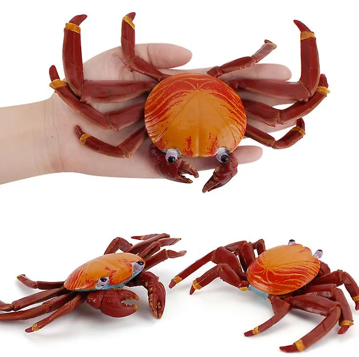 2Pcs Sally Crab 19 * 12.5 cm Sally Crab toy educational simulation animal marine life model realistic gift props children learning AZ10565