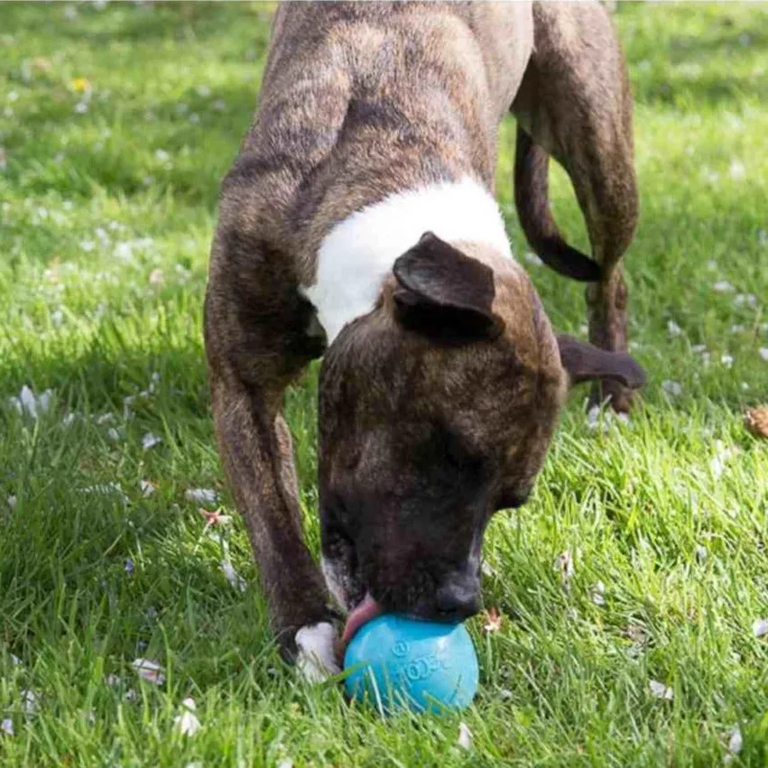 Beco Rubber Ball dog toy (Blue)