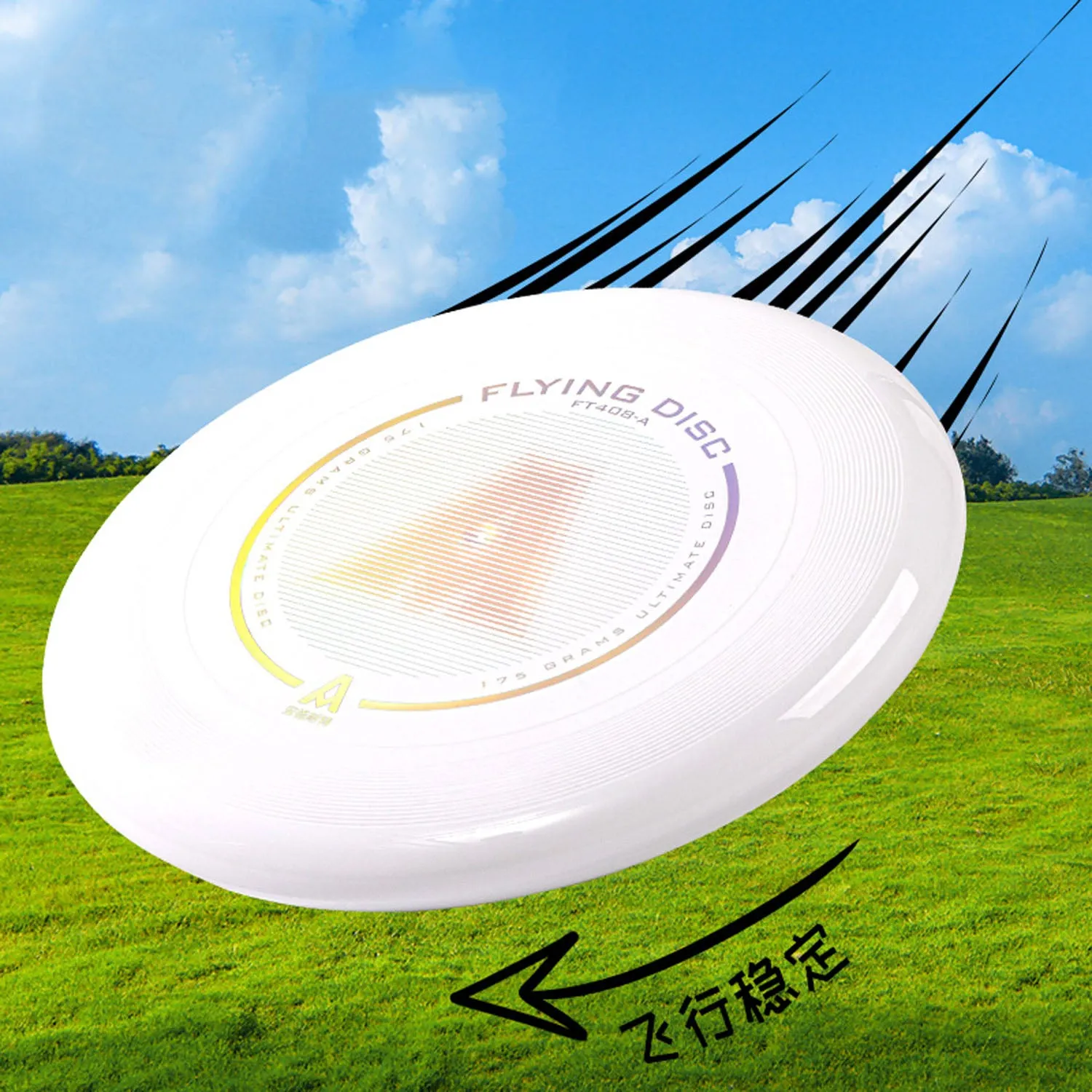 Frisbee (Ø10")
