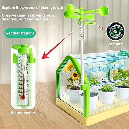 Kids Plant Growing Kit Greenhouse Growing Set with Windsocks and thermometers Terrarium Kit Kids Science Educational DIY Indoor Plant Gardening Toy
