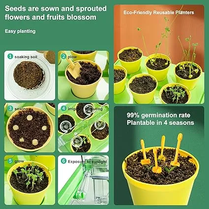 Kids Plant Growing Kit Greenhouse Growing Set with Windsocks and thermometers Terrarium Kit Kids Science Educational DIY Indoor Plant Gardening Toy