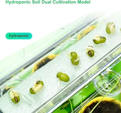 Kids Plant Growing Kit Greenhouse Growing Set with Windsocks and thermometers Terrarium Kit Kids Science Educational DIY Indoor Plant Gardening Toy