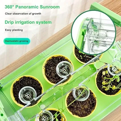 Kids Plant Growing Kit Greenhouse Growing Set with Windsocks and thermometers Terrarium Kit Kids Science Educational DIY Indoor Plant Gardening Toy