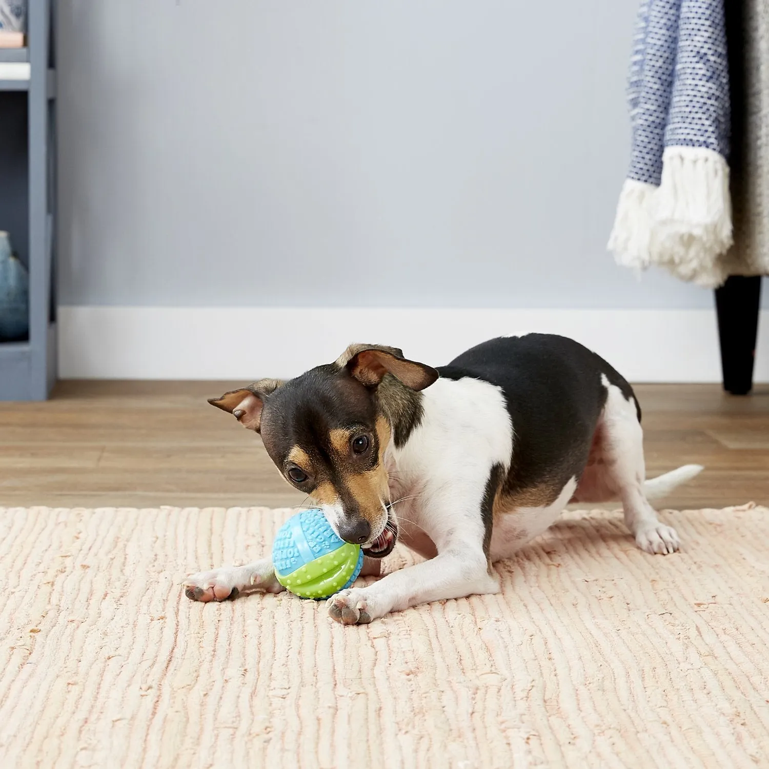 Kong Core Strength Ball