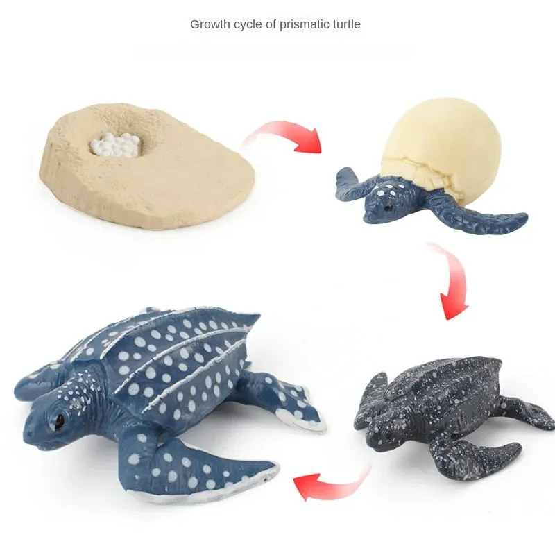 OozDec Simulation Small Animal Model Toy Growth Life Cycle Frog Turtle Chicken Montessori Kindergarten Teaching Aids Wholesale