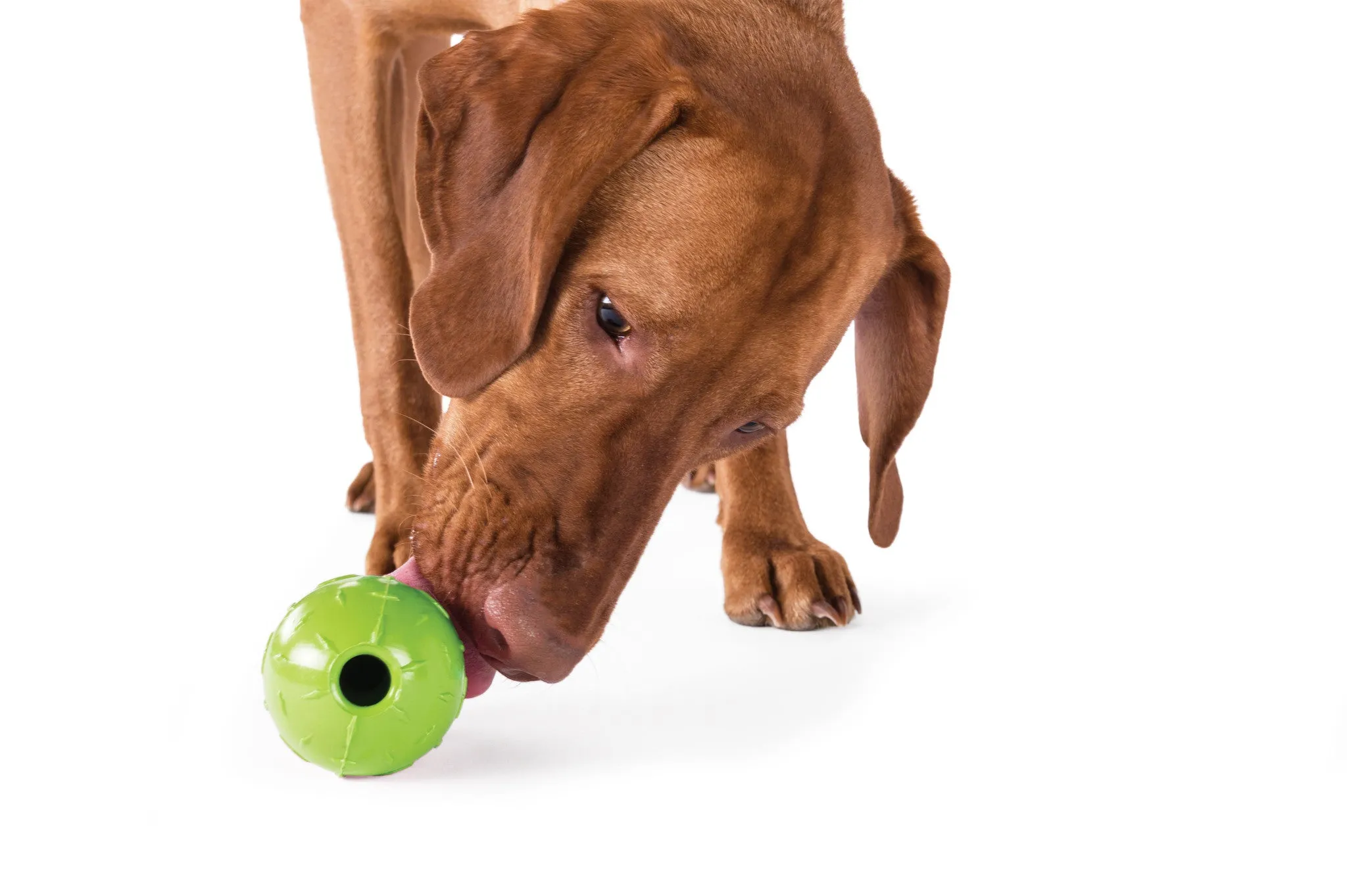 Orbee-Tuff® Diamond Double Plate Ball Dog Toy (Green)
