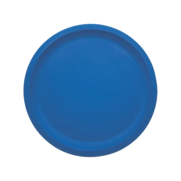 Rhino Skin Foam Discs - 8.5" (Set of 6)
