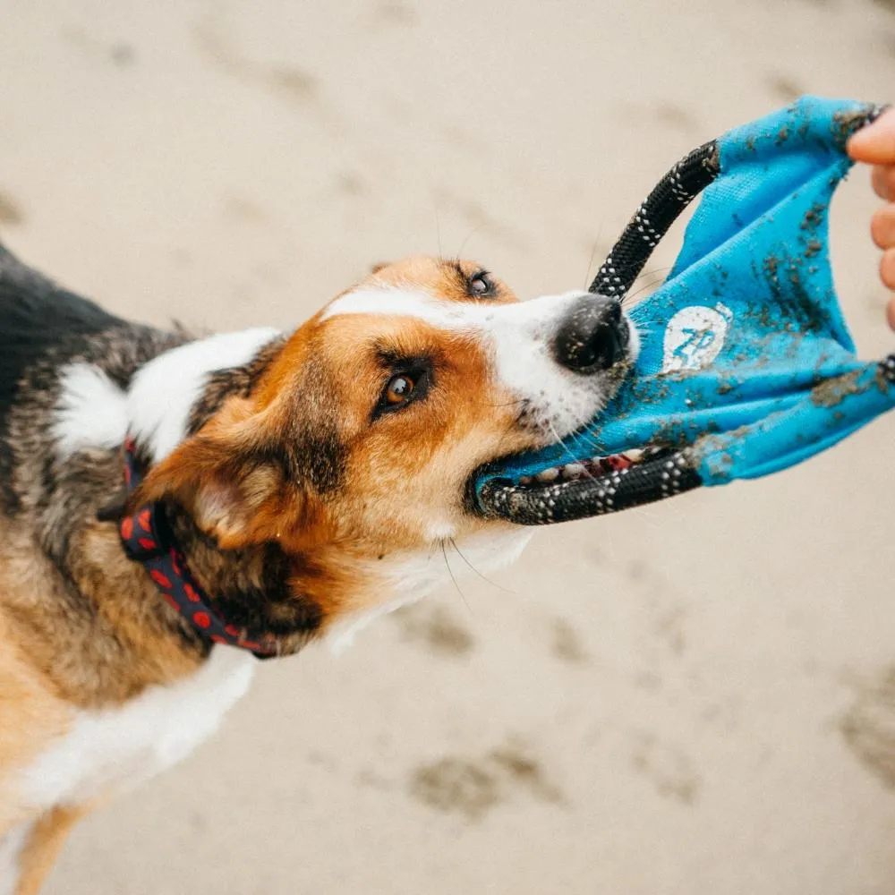 Rope Glider Dog Toy - Blue