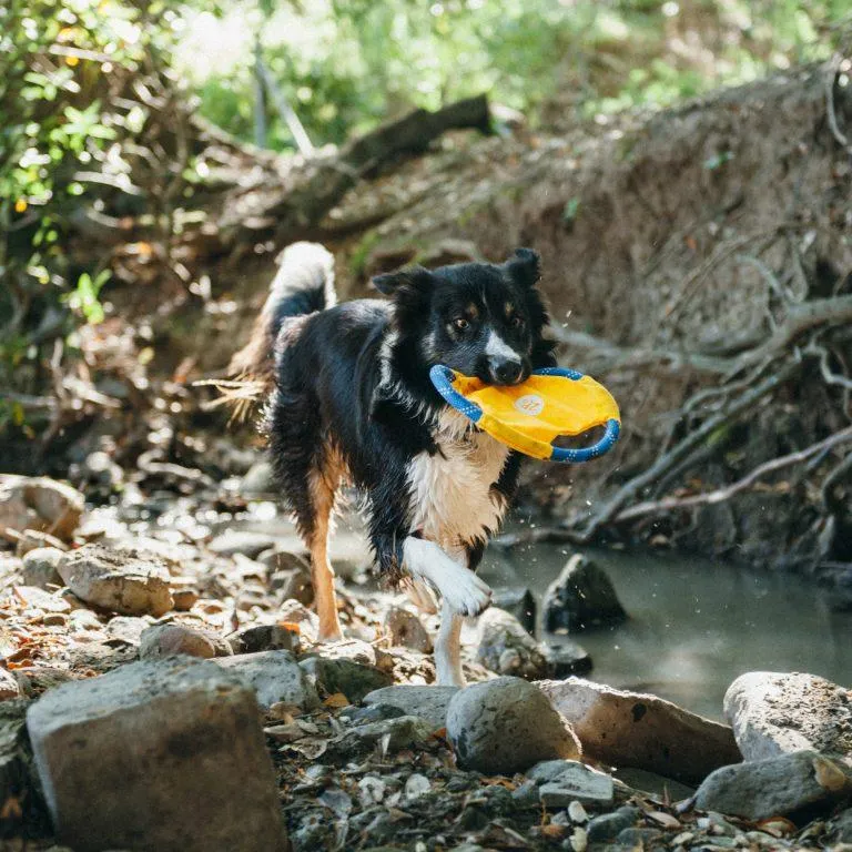 Rope Glider Dog Toy - Yellow