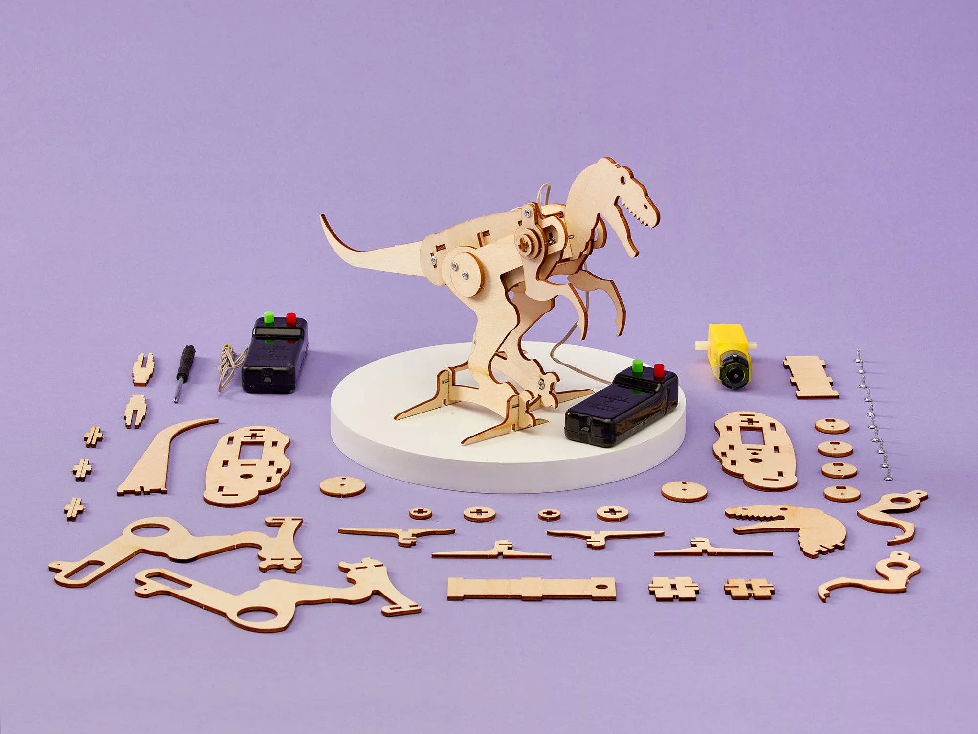 Tween/Teen DIY Toy Craft STEM Kit, Battery Powered Dinosaur Robot T-Rex, 8Y 