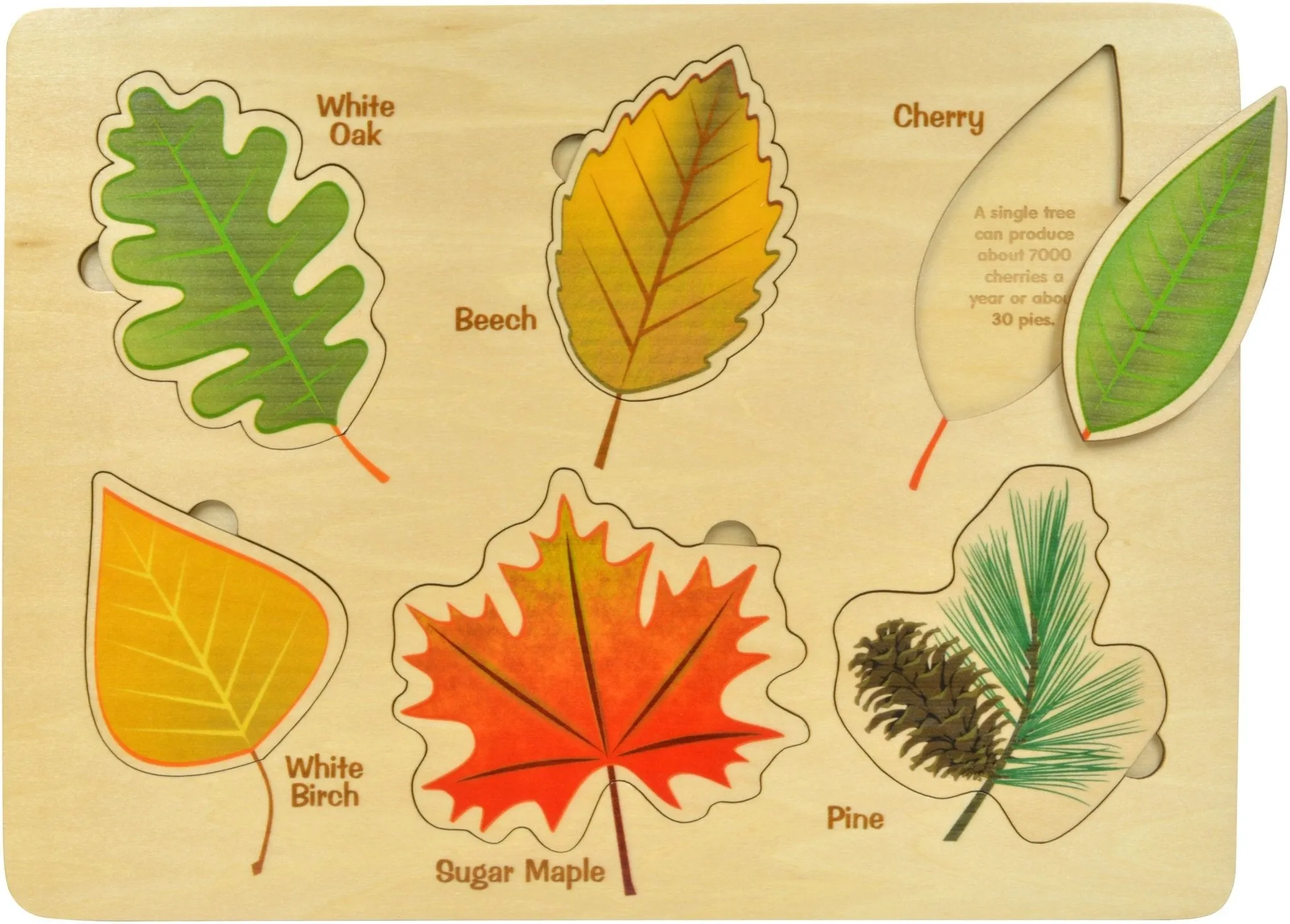 Wooden Lift & Learn Leaf Puzzle - Made in USA